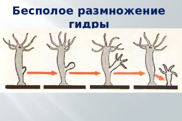 Как вывести деньги с кракена маркетплейс