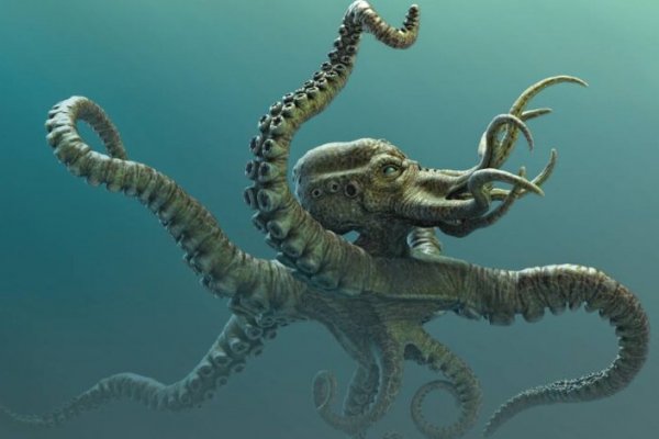 Маркетплейс кракен kraken